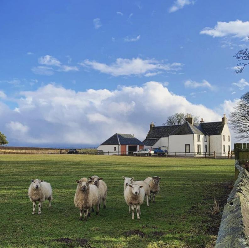 Tarrel Farmhouse Portmahomack Kültér fotó
